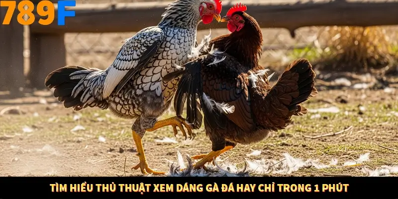Ưu điểm hấp dẫn khi áp dụng thủ thuật xem dáng